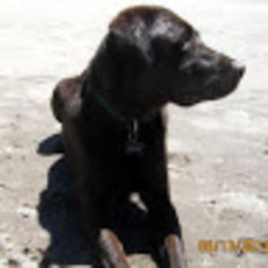 Meet your Posher, Yuki